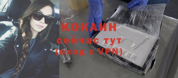 прущие грибы Беломорск