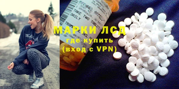 прущие грибы Беломорск