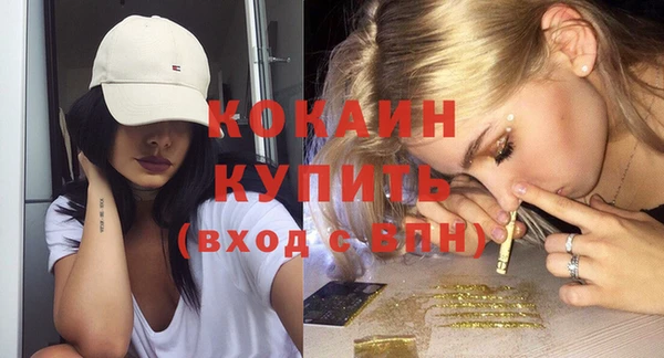 прущие грибы Беломорск