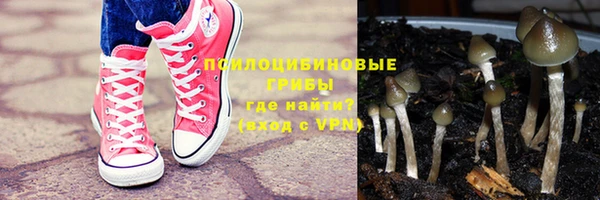 мдма Белокуриха