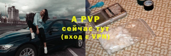 прущие грибы Беломорск